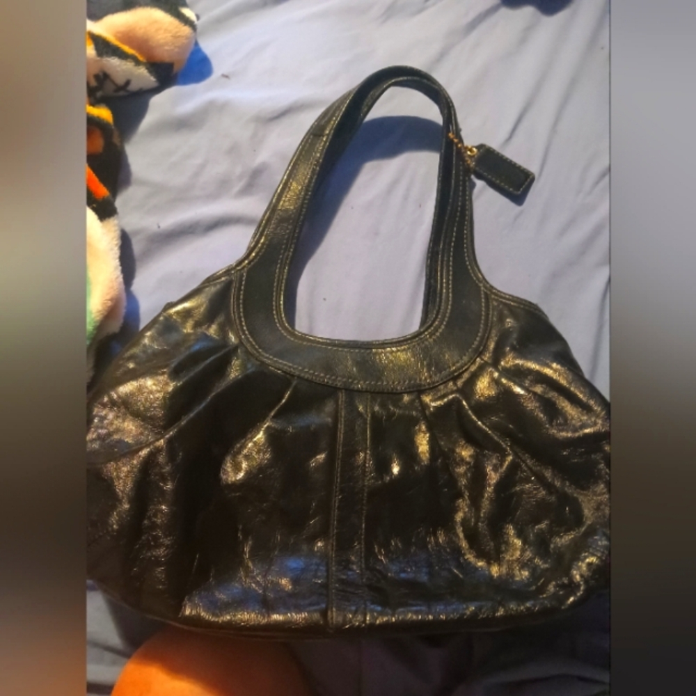 Coach Ergo Leather Pleated Hoho Shoulder Bag